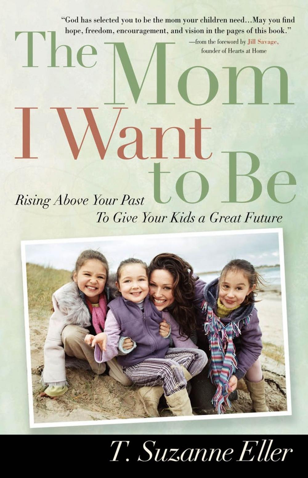 Big bigCover of The Mom I Want to Be