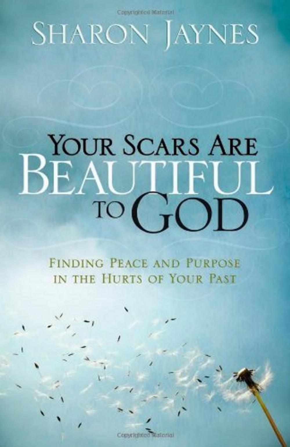 Big bigCover of Your Scars Are Beautiful to God