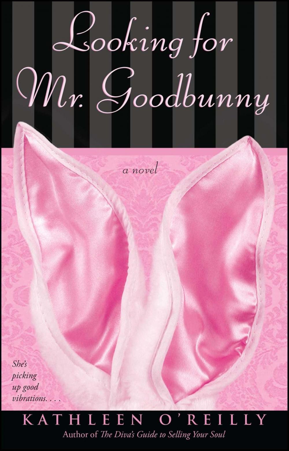 Big bigCover of Looking for Mr. Goodbunny