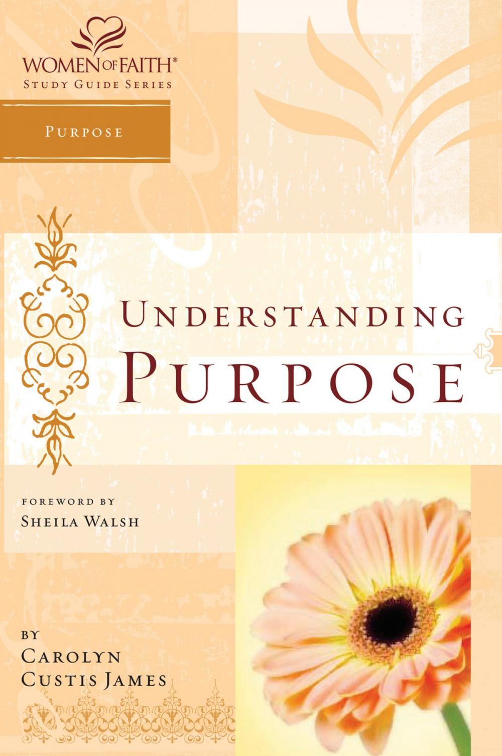 Big bigCover of Understanding Purpose