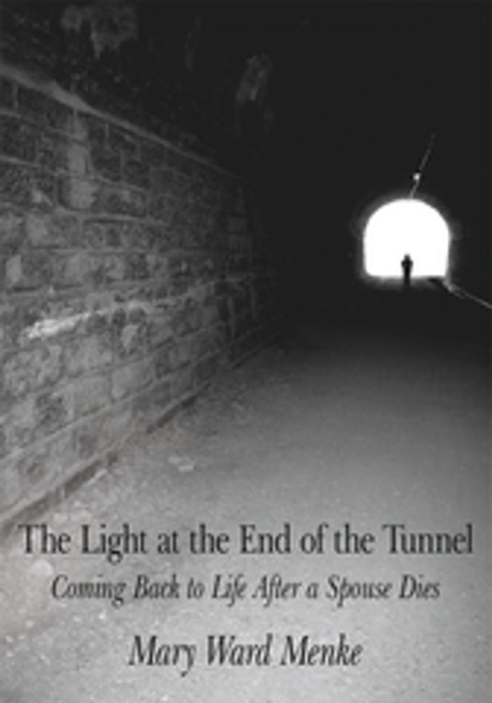 Big bigCover of The Light at the End of the Tunnel