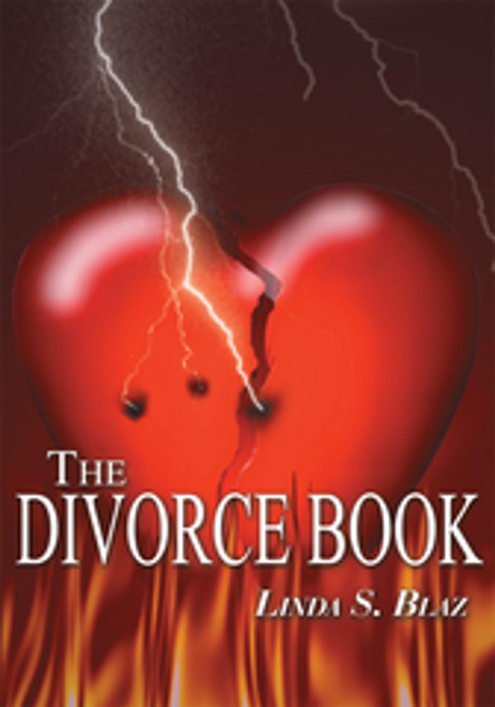 Big bigCover of The Divorce Book