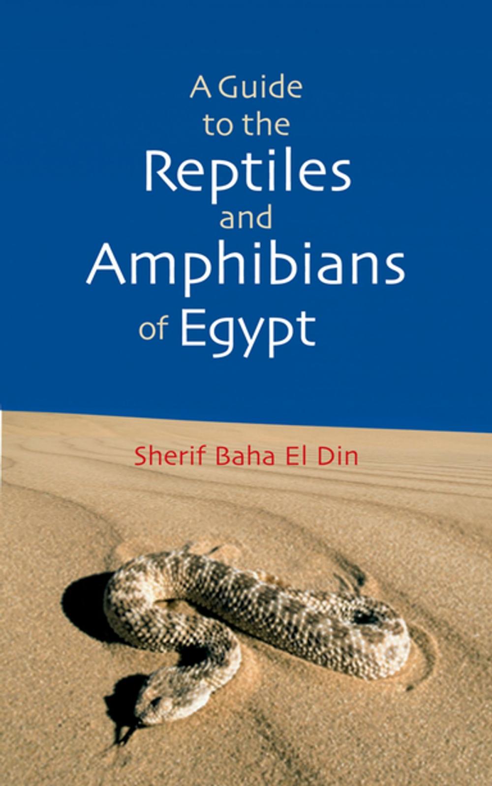 Big bigCover of A Guide to Reptiles & Amphibians of Egypt