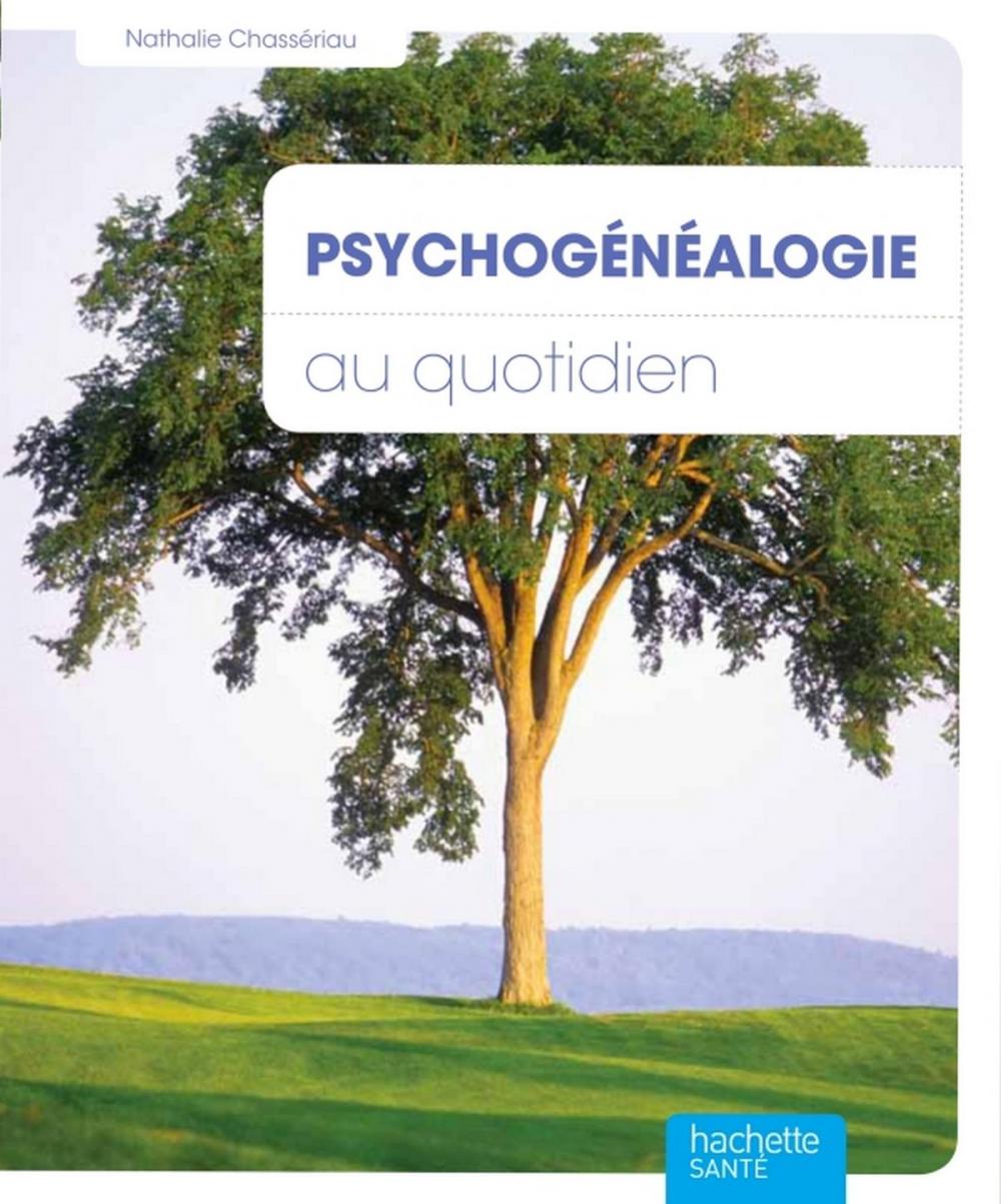 Big bigCover of Psychogénéalogie au quotidien