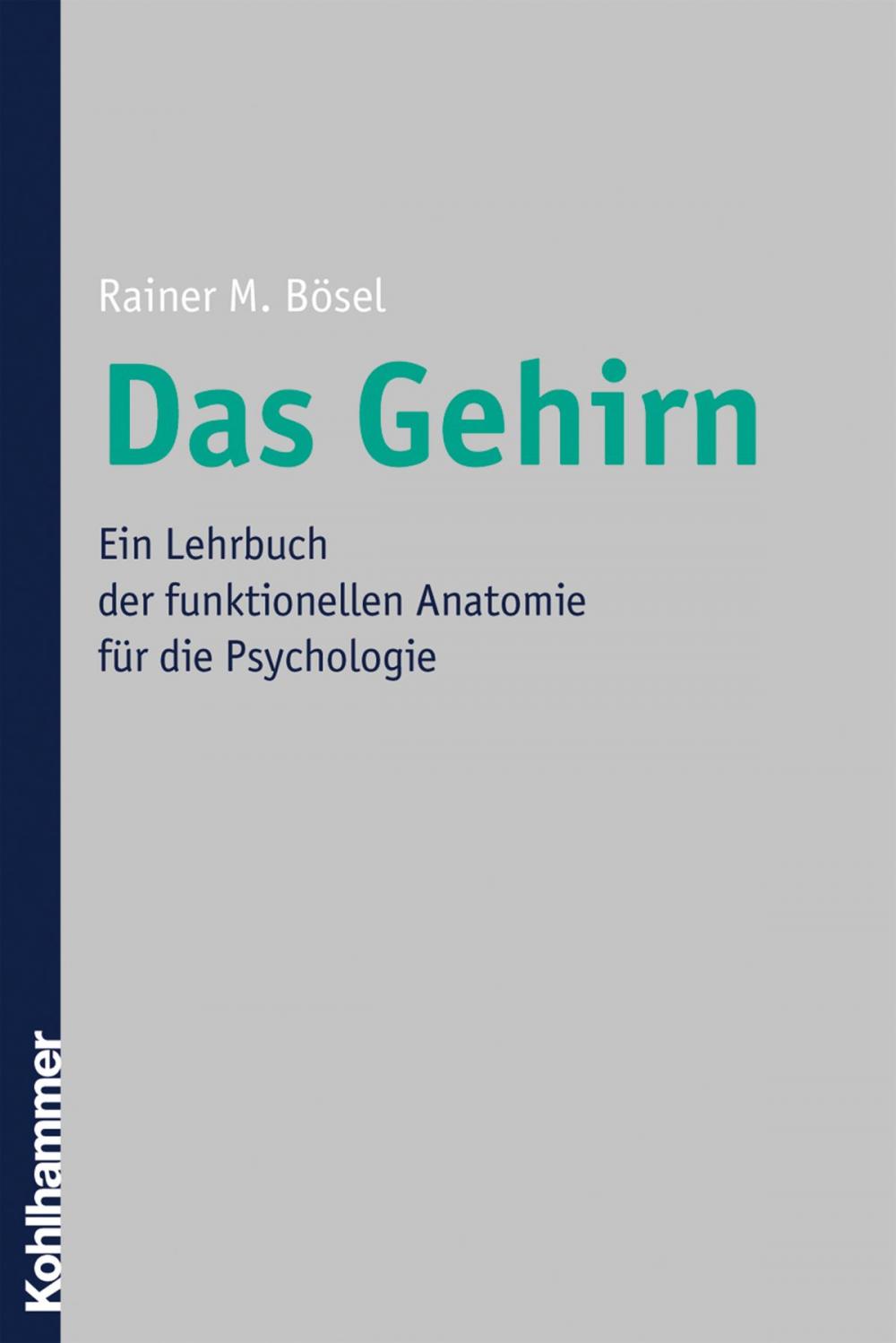 Big bigCover of Das Gehirn