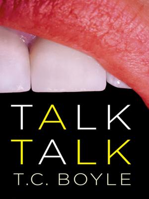 Cover of the book Talk Talk by Frank Conroy