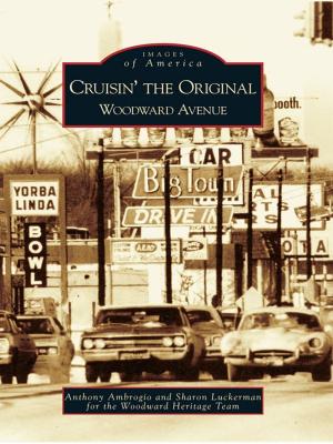 Book cover of Cruisin' the Original Woodward Avenue