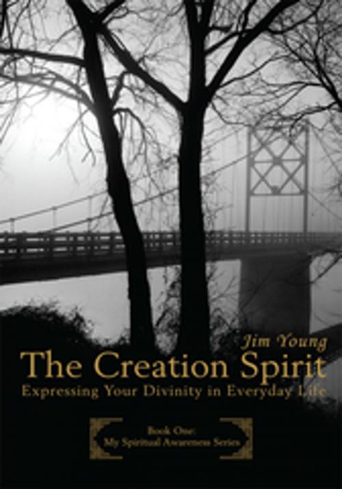 Cover of the book The Creation Spirit by Jim Young, iUniverse