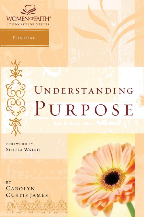 Cover of the book Understanding Purpose by Carolyn Custis James, Thomas Nelson