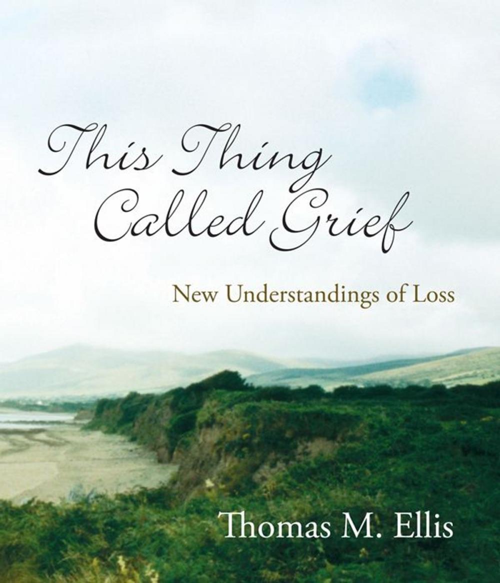Big bigCover of This Thing Called Grief: New Understandings of Loss