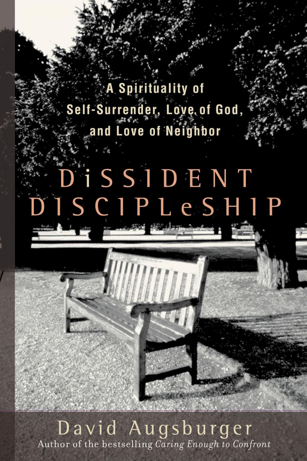 Big bigCover of Dissident Discipleship