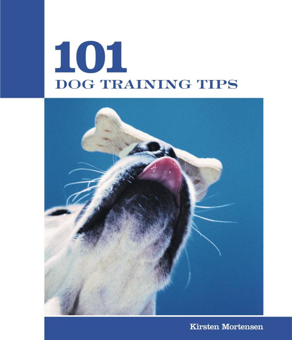 Big bigCover of 101 Dog Training Tips