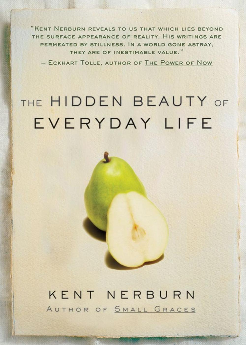 Big bigCover of The Hidden Beauty of Everyday Life