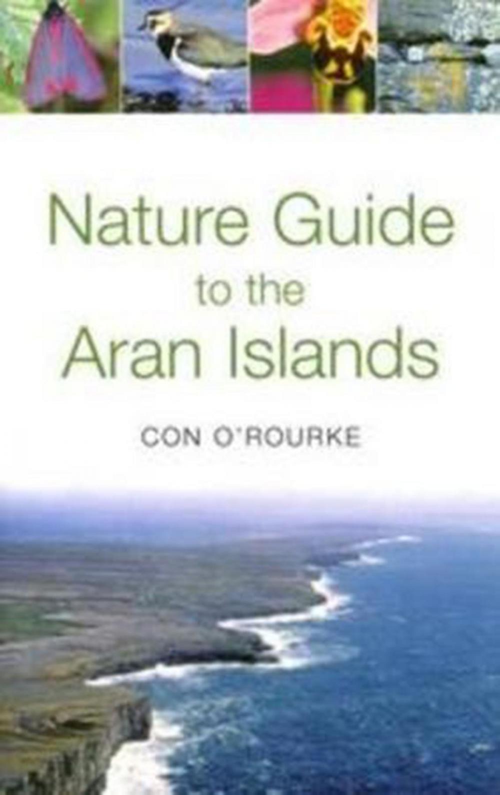 Big bigCover of Nature Guide to the Aran Islands