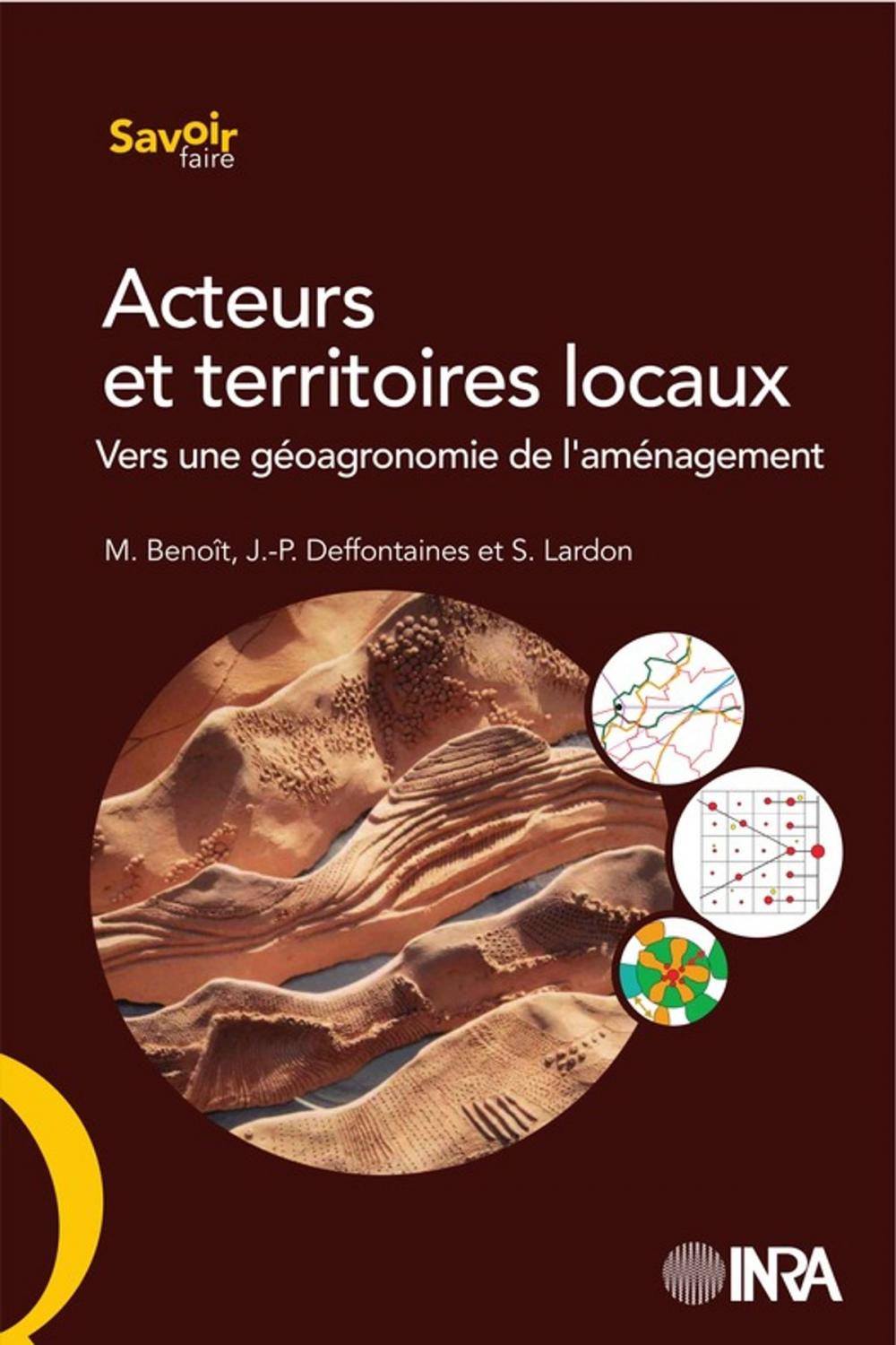 Big bigCover of Acteurs et territoires locaux