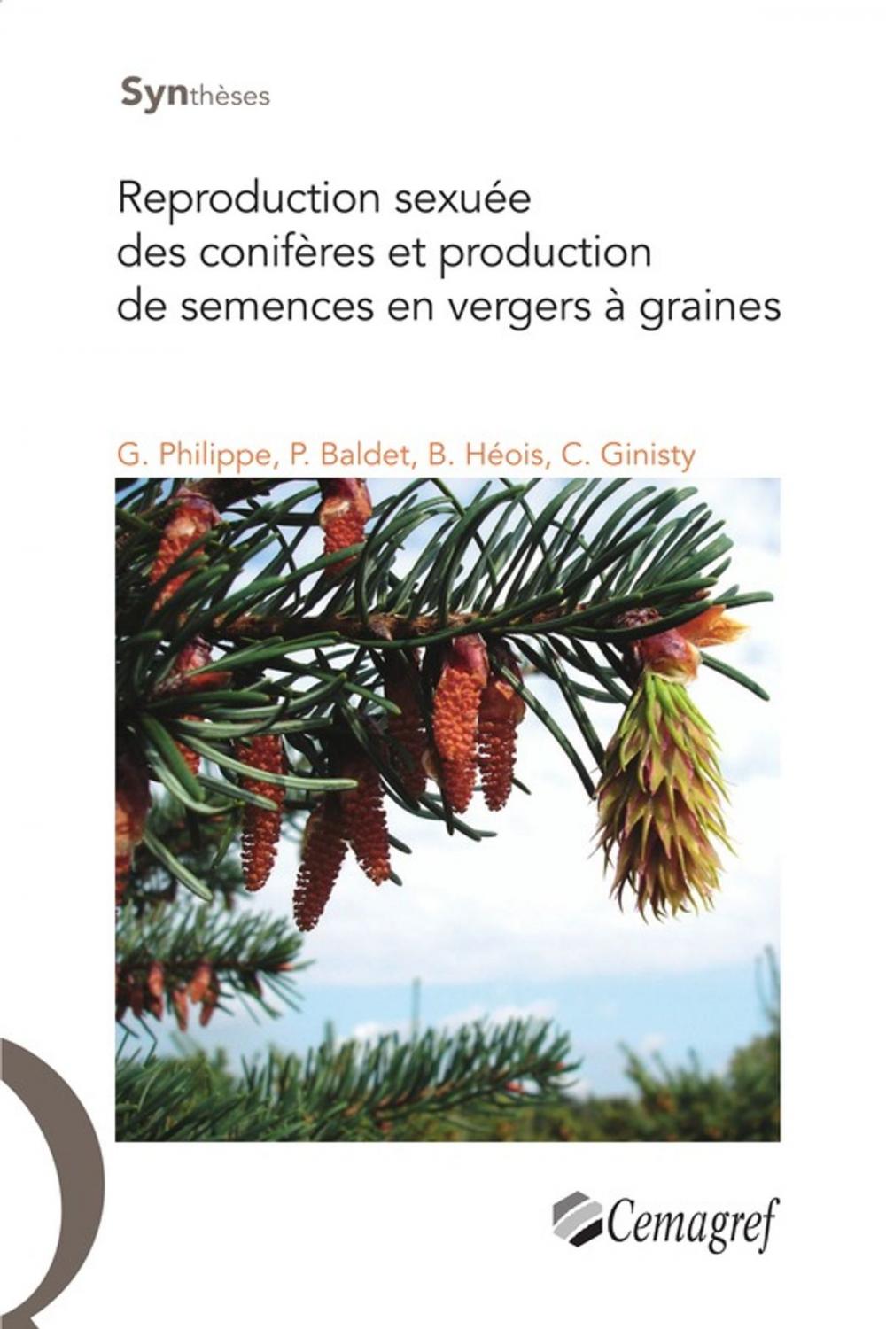 Big bigCover of Reproduction sexuée des conifères et production de semences en vergers à graines