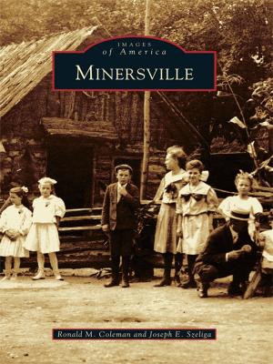 Cover of the book Minersville by Barbara Krasner