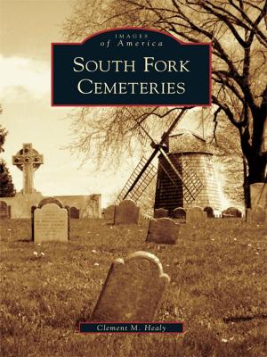 Book cover of South Fork Cemeteries