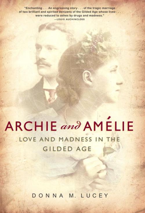 Cover of the book Archie and Amelie by Donna M. Lucey, Crown/Archetype