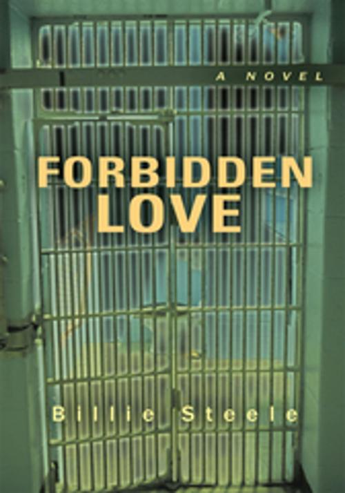 Cover of the book Forbidden Love by Billie Steele, iUniverse