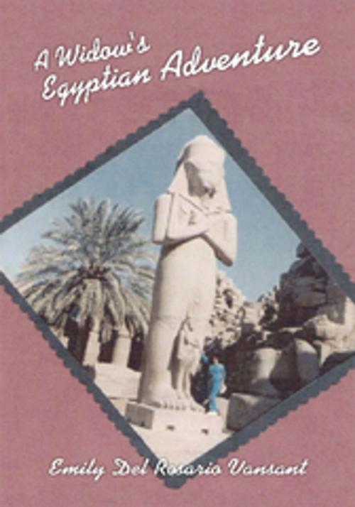 Cover of the book A Widow's Egyptian Adventure by Emily Del Rosario Vansant, AuthorHouse