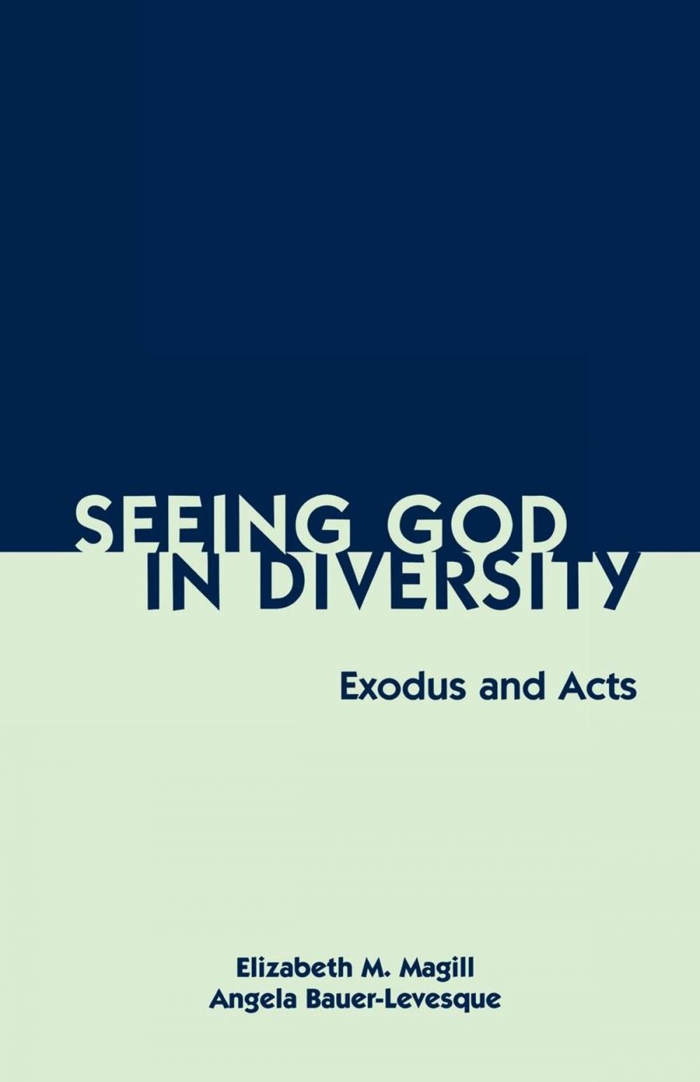 Big bigCover of Seeing God in Diversity