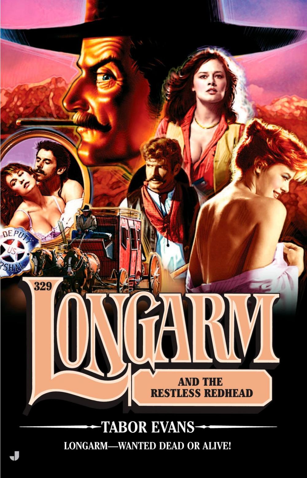 Big bigCover of Longarm 329