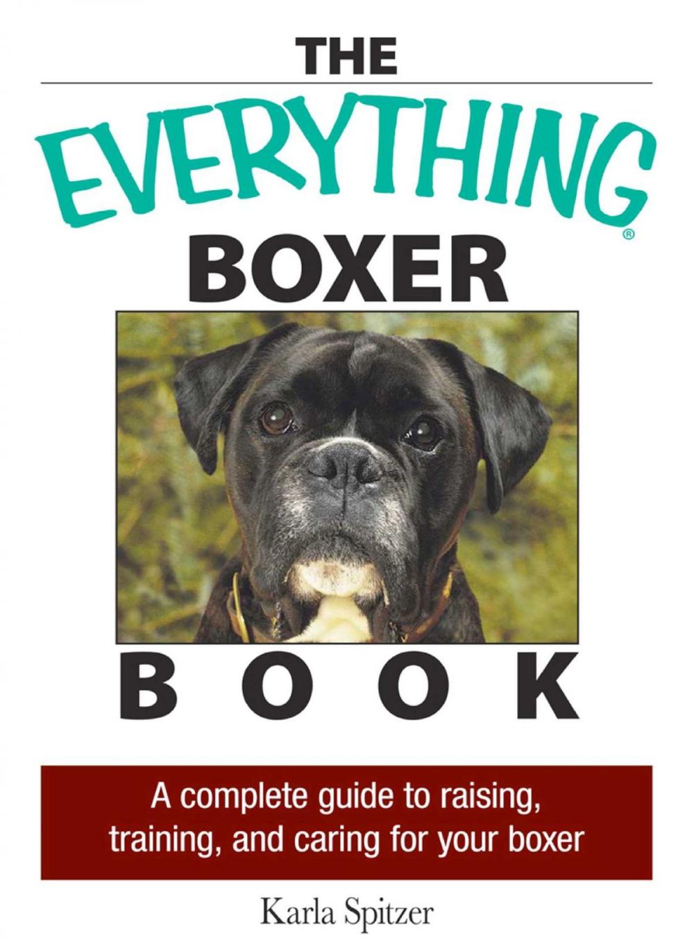 Big bigCover of The Everything Boxer Book