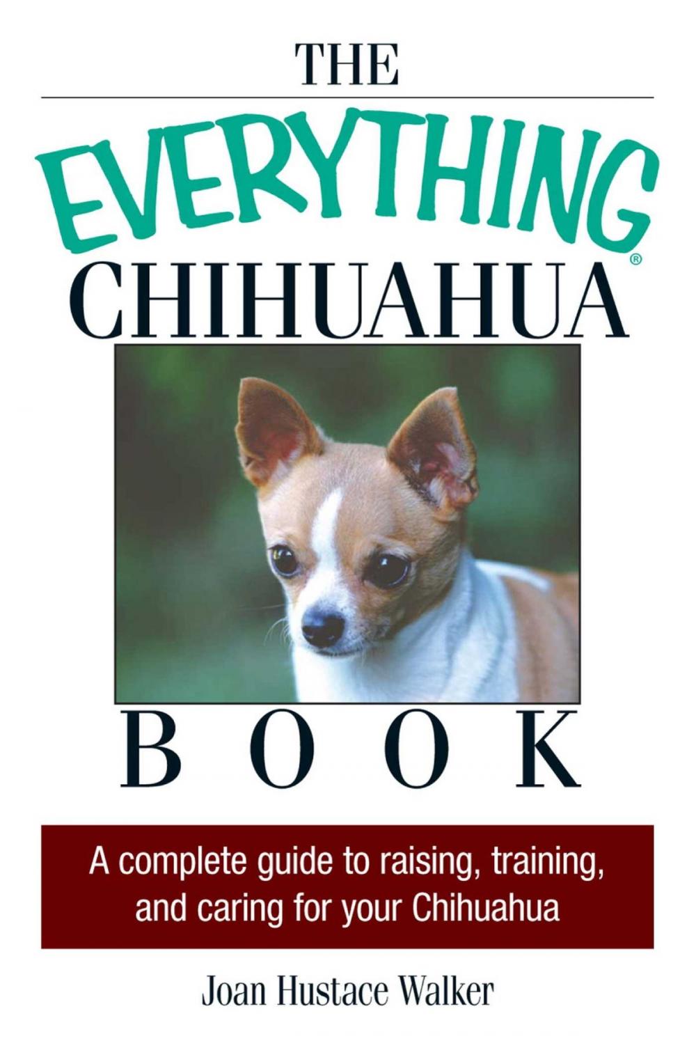 Big bigCover of The Everything Chihuahua Book