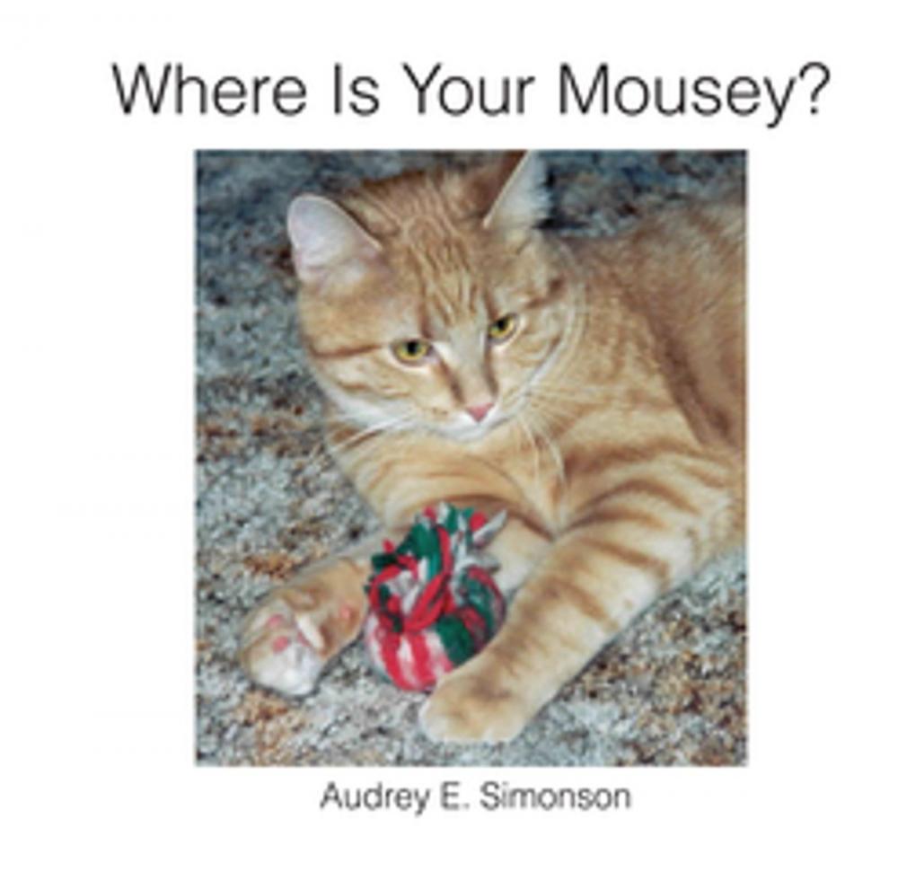 Big bigCover of Where Is Your Mousey?