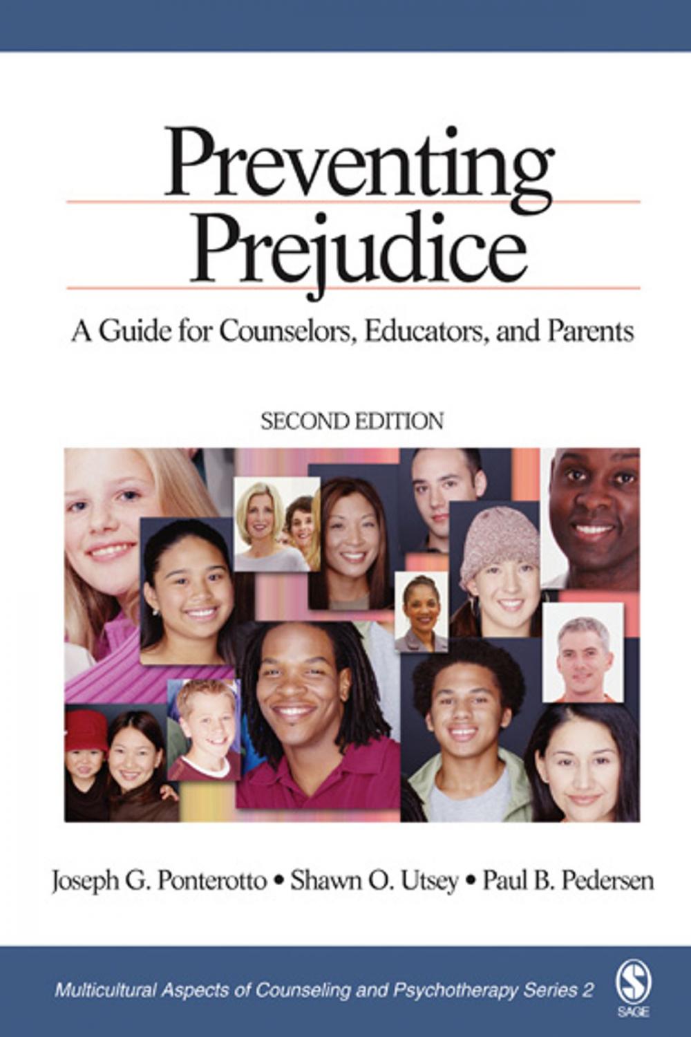 Big bigCover of Preventing Prejudice