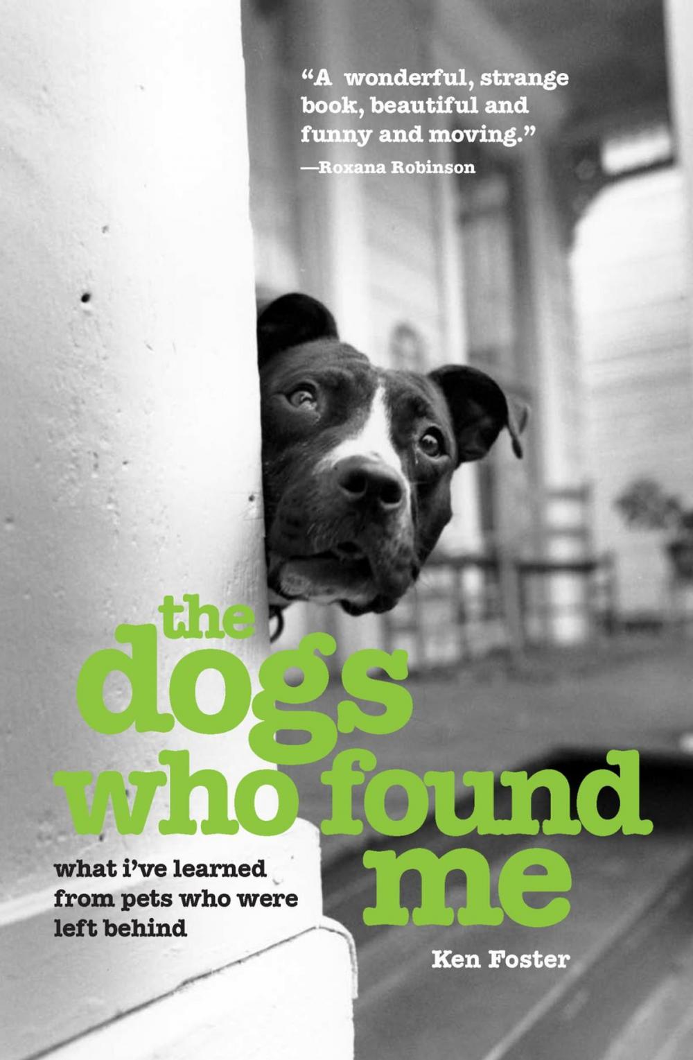 Big bigCover of The Dogs Who Found Me