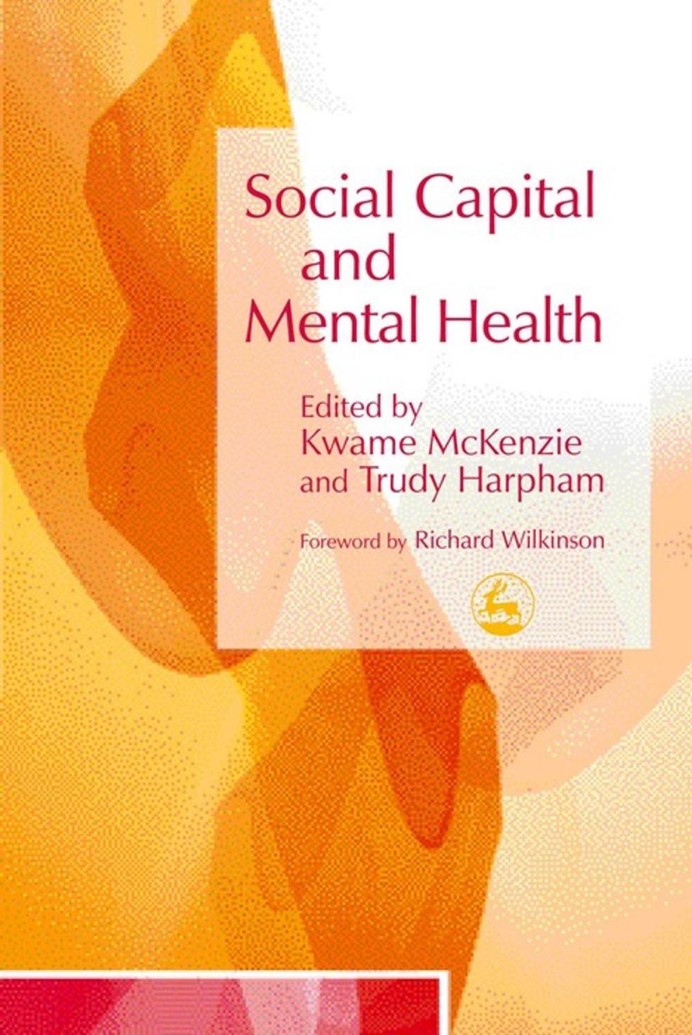 Big bigCover of Social Capital and Mental Health