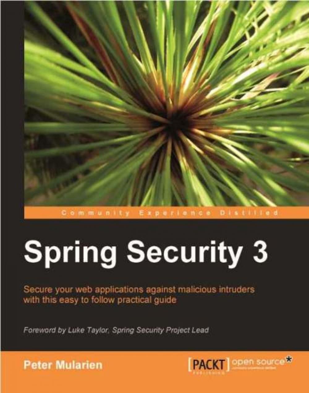Big bigCover of Spring Security 3