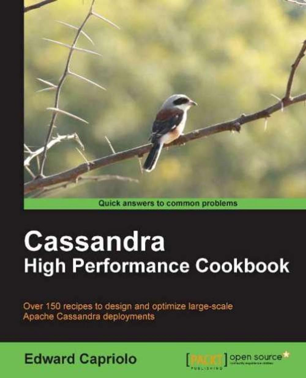 Big bigCover of Cassandra High Performance Cookbook