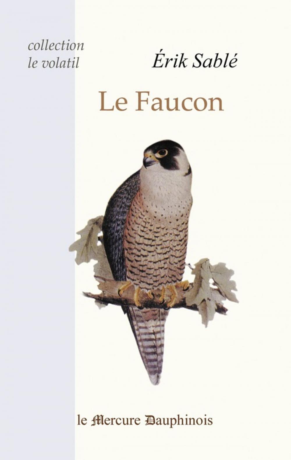 Big bigCover of Le Faucon