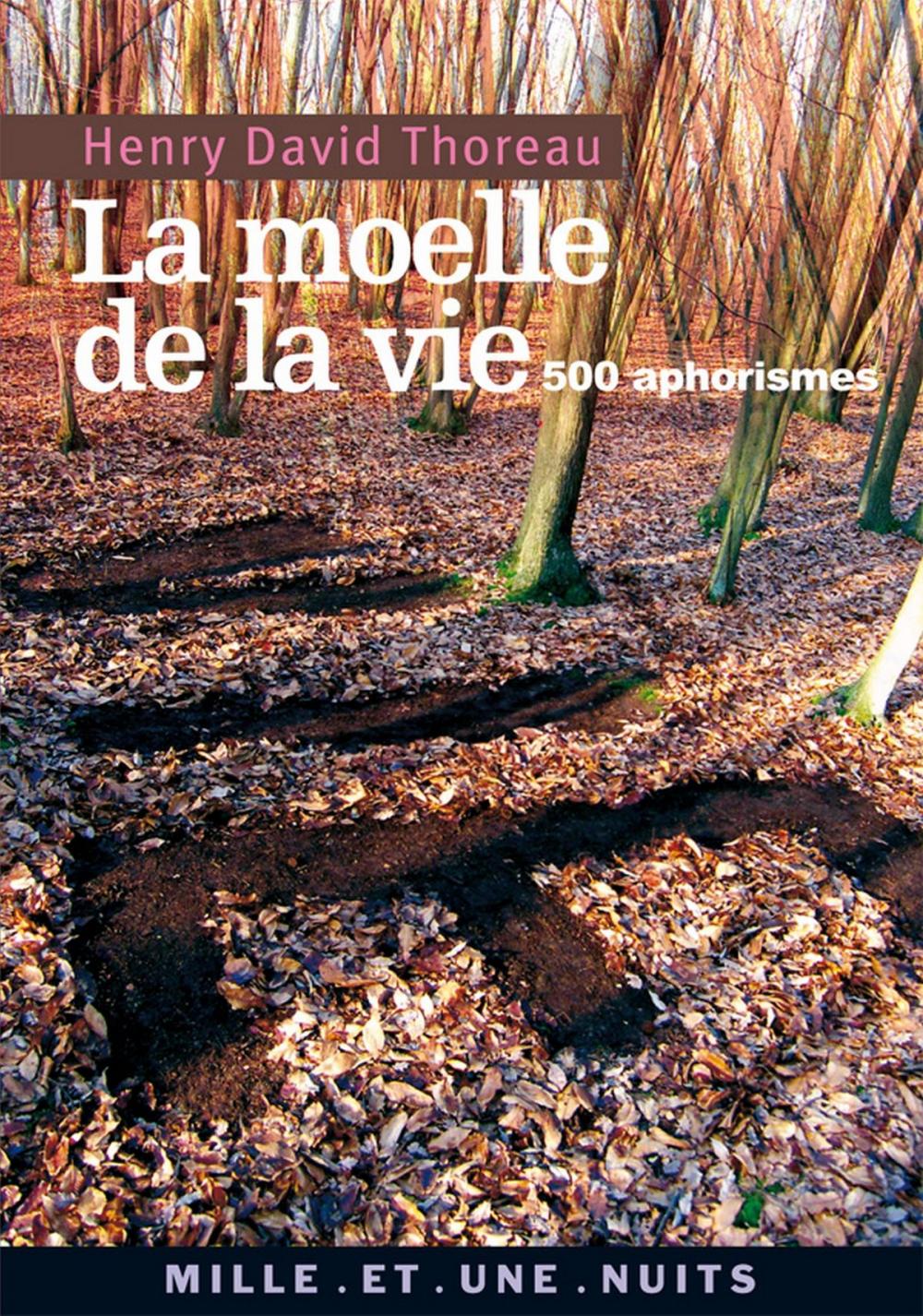 Big bigCover of La Moelle de la vie