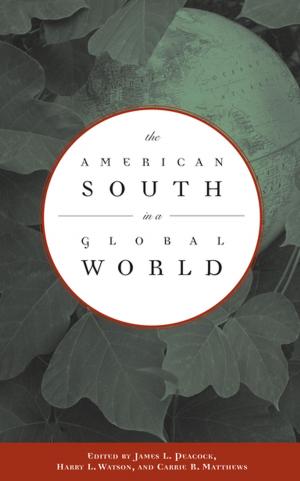 bigCover of the book The American South in a Global World by 
