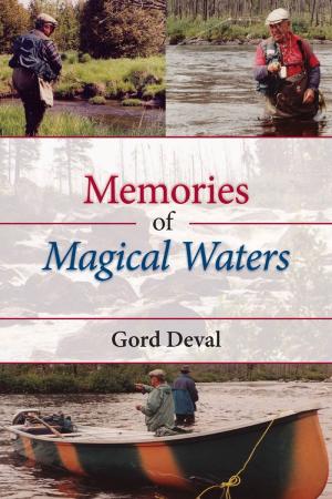 Cover of the book Memories of Magical Waters by David Vanek