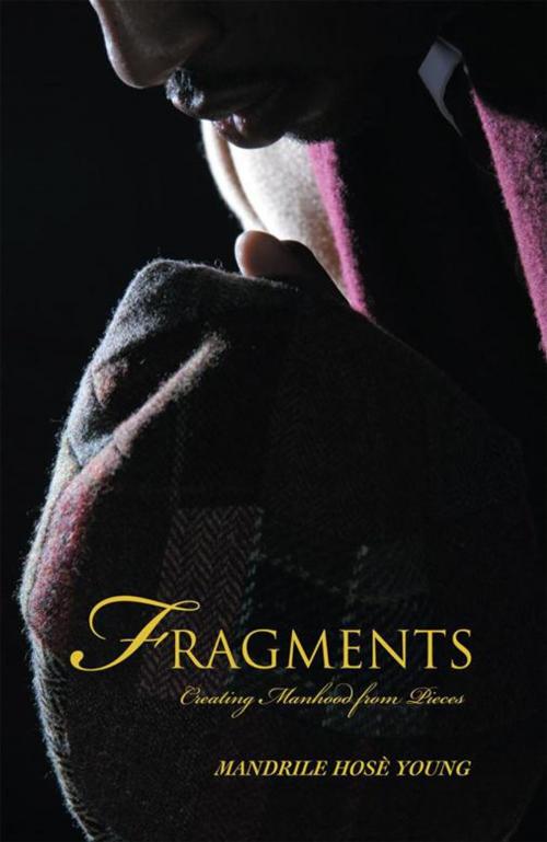 Cover of the book Fragments by Mandrile Hose Young, iUniverse