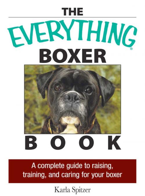 Cover of the book The Everything Boxer Book by Karla Spitzer, Adams Media