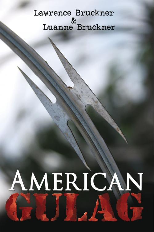 Cover of the book American Gulag by Luanne Bruckner, Lawrence Bruckner, AuthorHouse