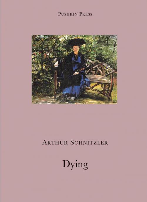 Cover of the book Dying by Arthur Schnitzler, Steerforth Press