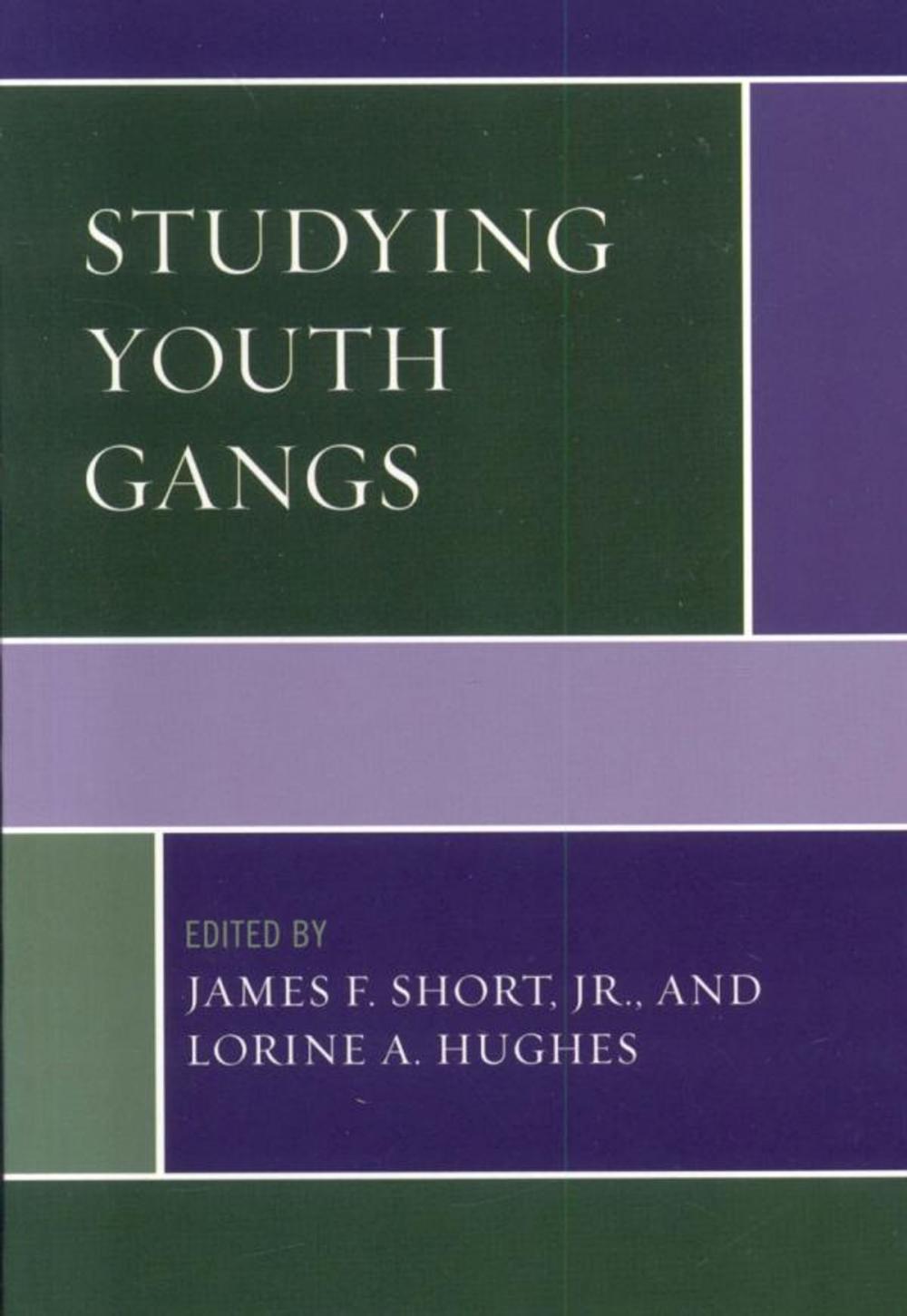 Big bigCover of Studying Youth Gangs