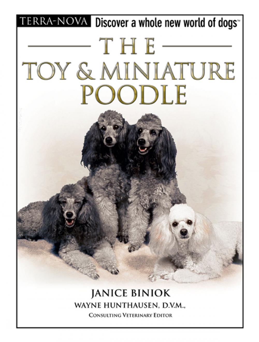 Big bigCover of The Toy & Miniature Poodle