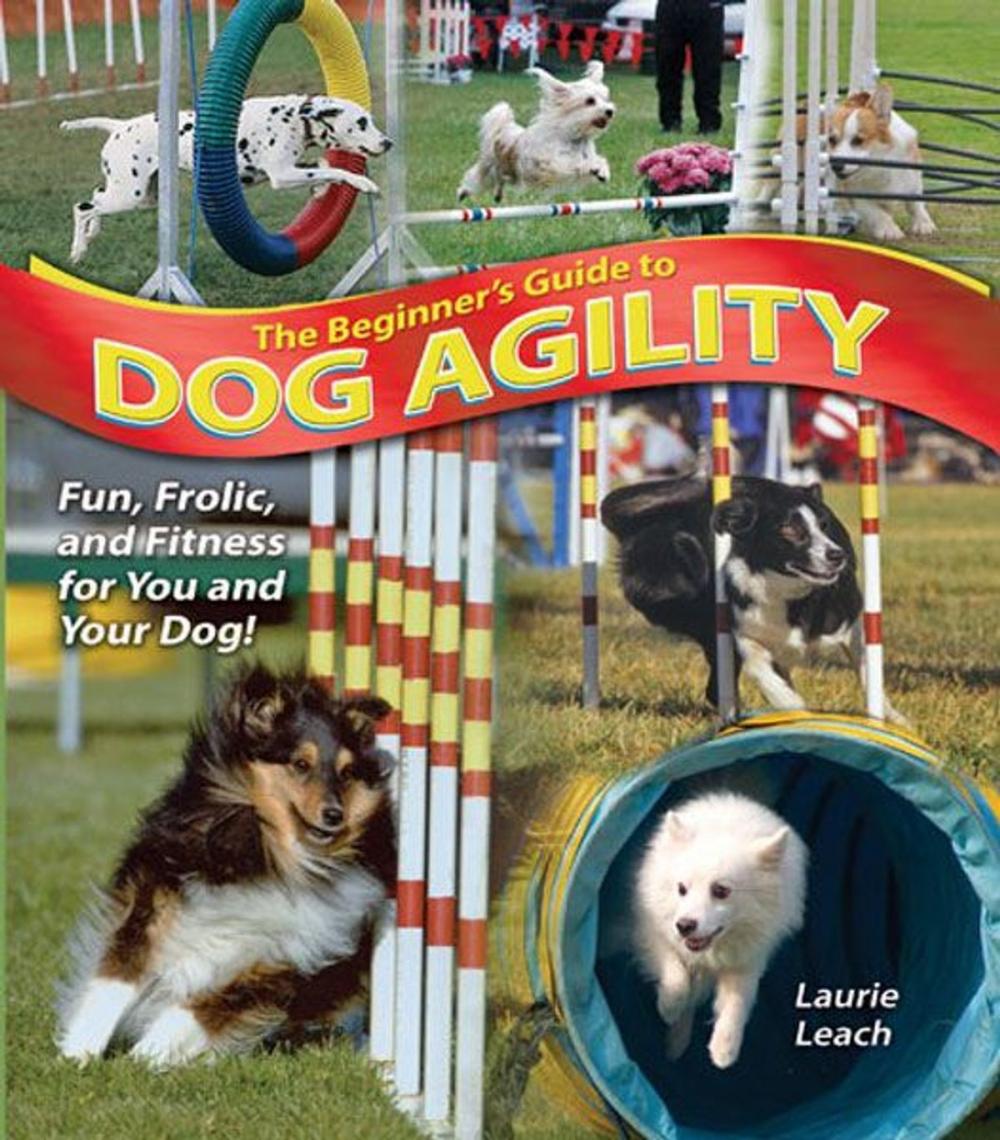 Big bigCover of The Beginner's Guide to Dog Agility