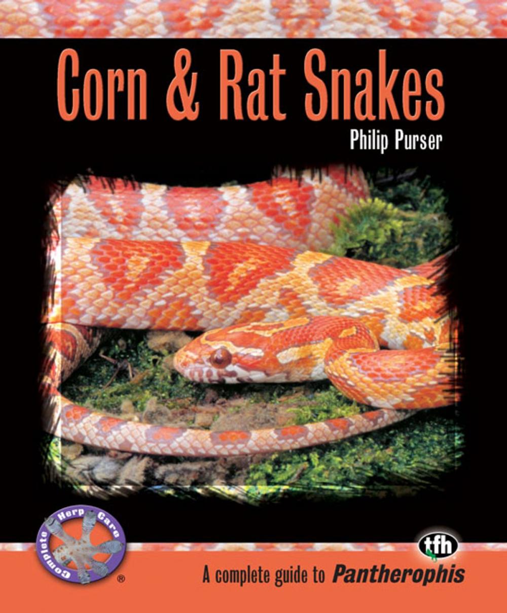 Big bigCover of Corn & Rat Snakes