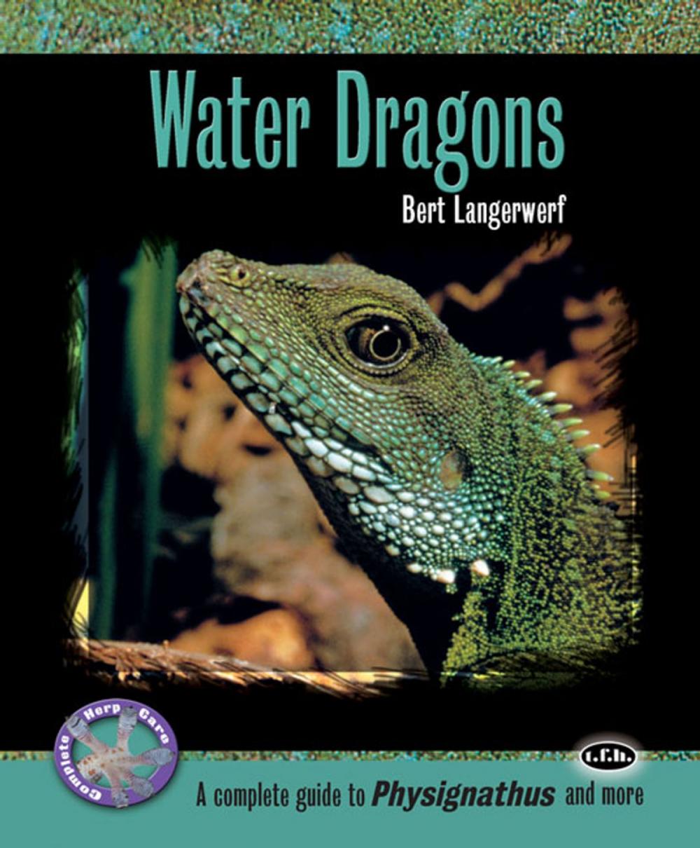 Big bigCover of Water Dragons