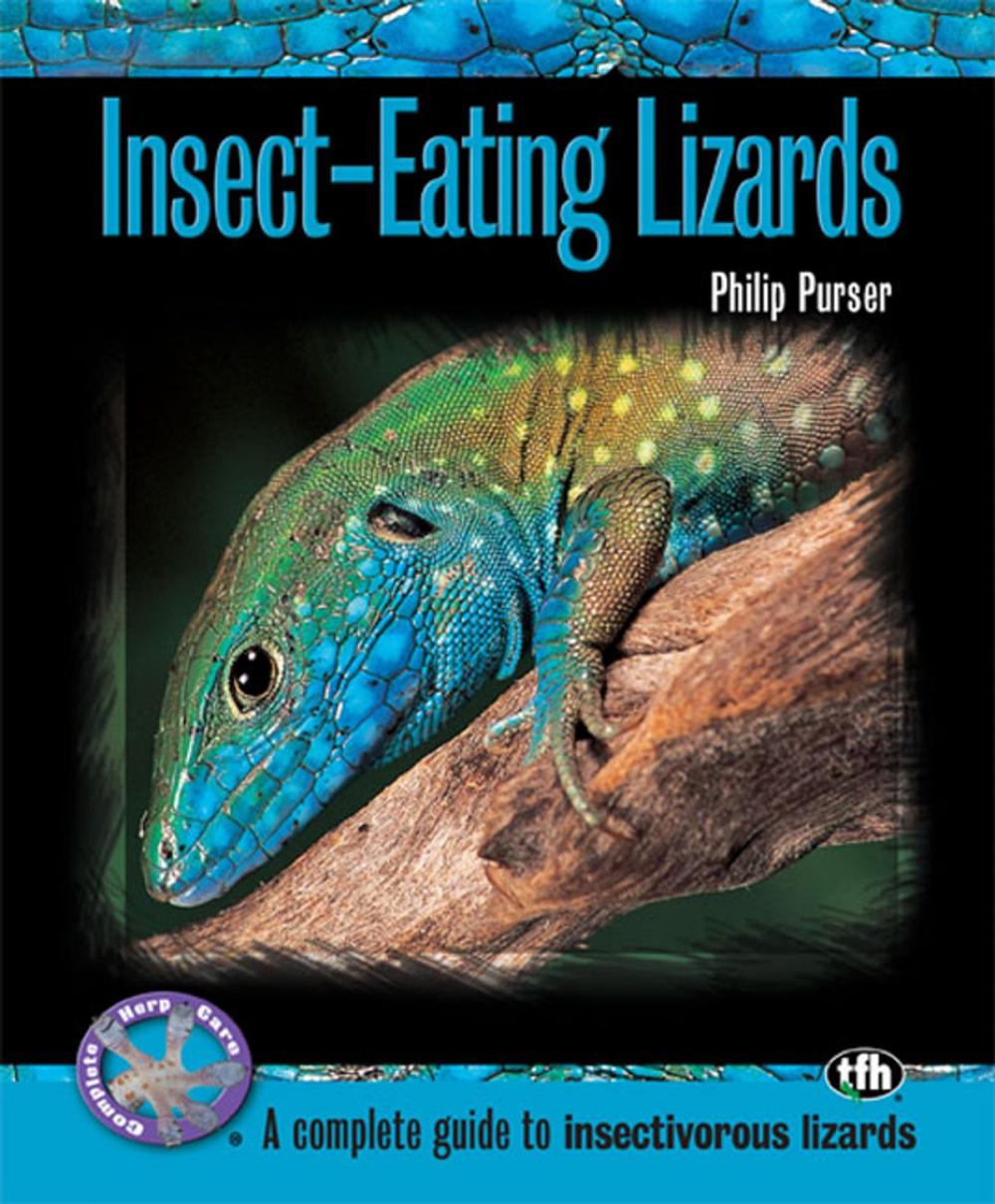 Big bigCover of Insect-Eating Lizards (Complete Herp Care)