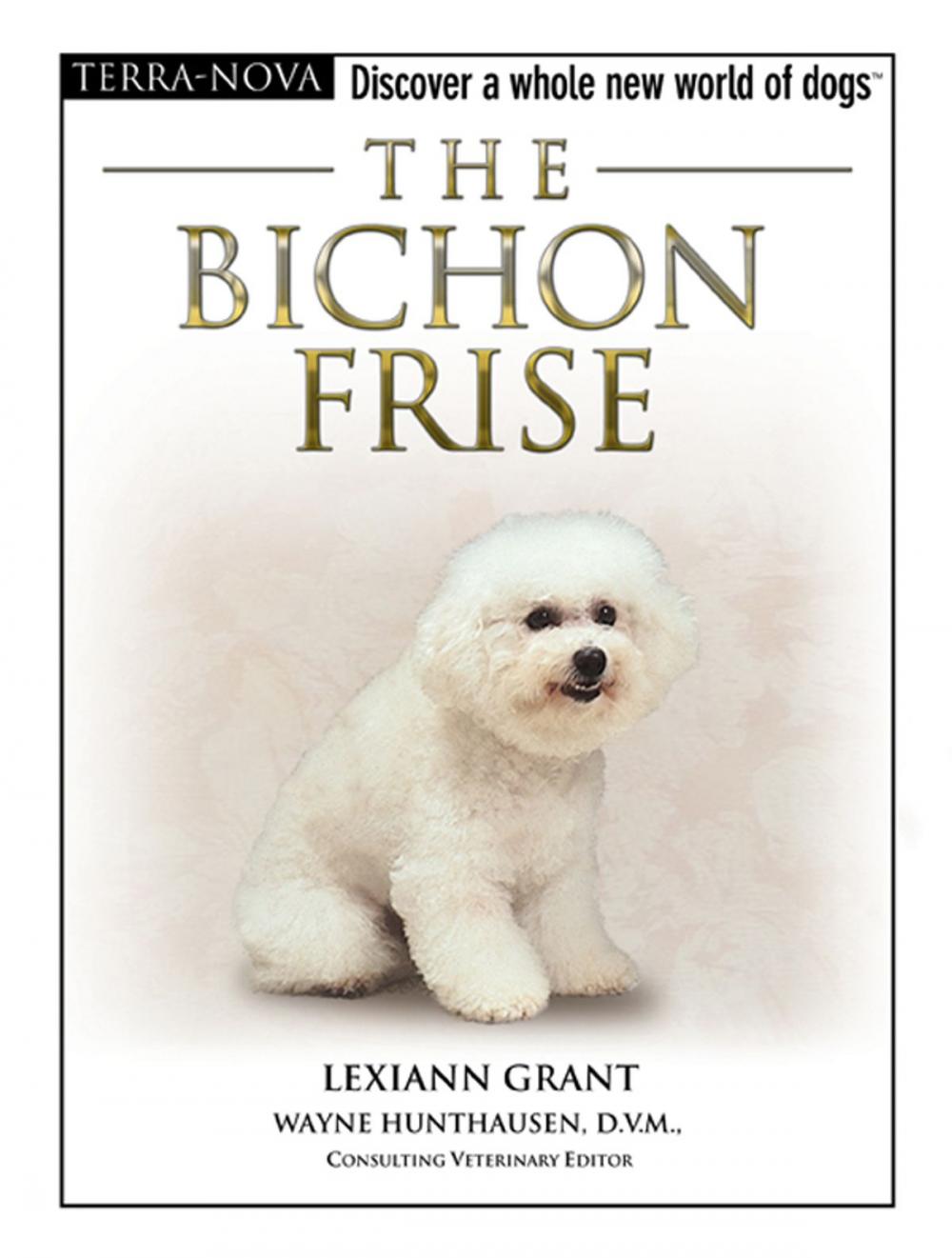 Big bigCover of The Bichon Frise